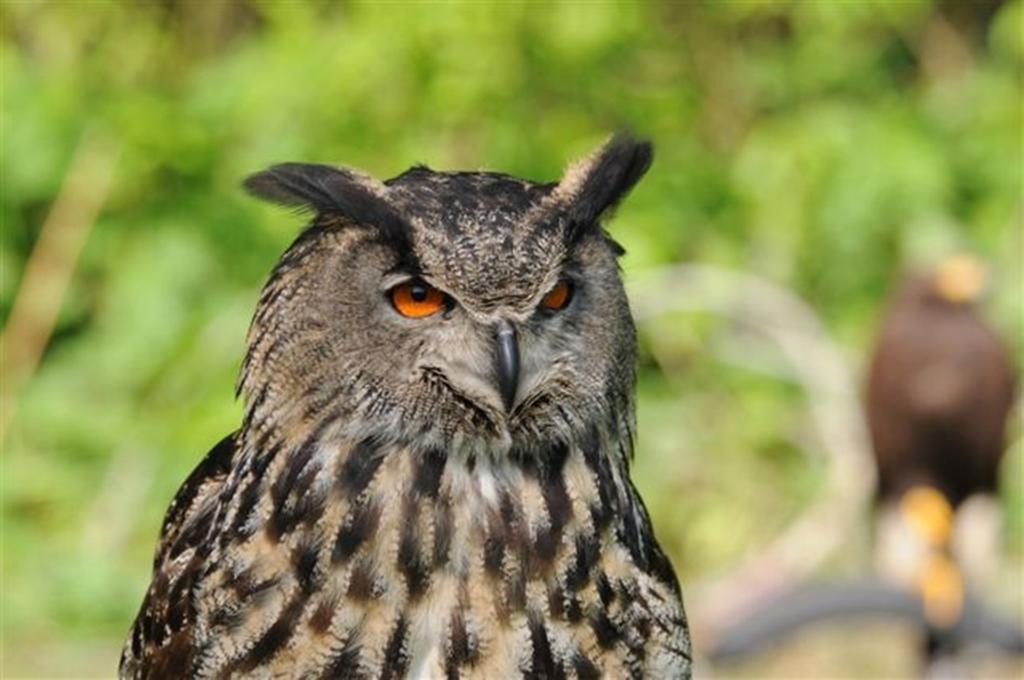 Buitengoed De Panoven Zevenaar Bagian luar foto