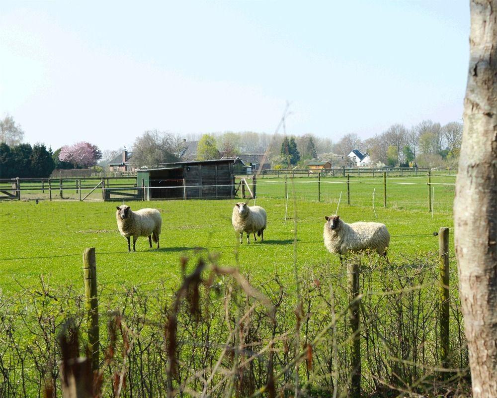 Buitengoed De Panoven Zevenaar Bagian luar foto